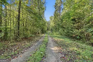 288 Sanctuary Dr, Toccoa, GA 30577 - Photo 43