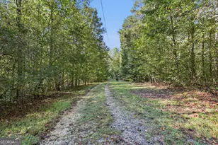 288 Sanctuary Dr, Toccoa, GA 30577 - Photo 41