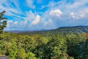559 Overlook Trail, Blue Ridge, GA 30513 - Photo 55