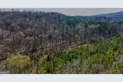 34 Acres Halls Valley, Rome, GA 30165 - Photo 3