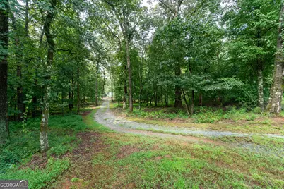 257 Iris Drive, Demorest, GA 30535 - Photo 39