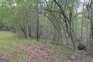 66 Topaz Ln, Royston, GA 30662 - Photo 21
