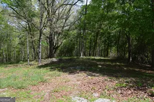 66 Topaz Ln, Royston, GA 30662 - Photo 25