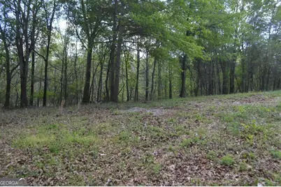 66 Topaz Lane, Royston, GA 30662 - Photo 23