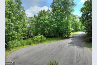 Lot 132 Fox Cove Road, Blairsville, GA 30512 - Photo 19