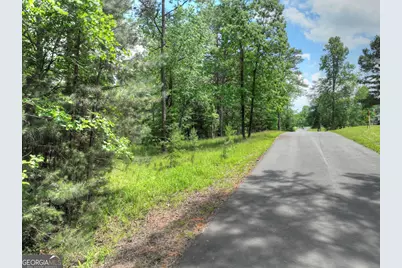 Lot 132 Fox Cove Road, Blairsville, GA 30512 - Photo 9