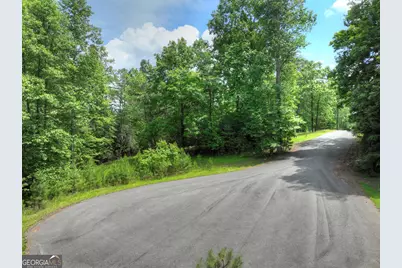 Lot 132 Fox Cove Road, Blairsville, GA 30512 - Photo 5