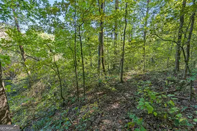 239 Fenner Road, Jackson, GA 30233 - Photo 45