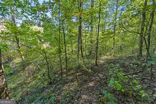239 Fenner Rd, Jackson, GA 30233 - Photo 45