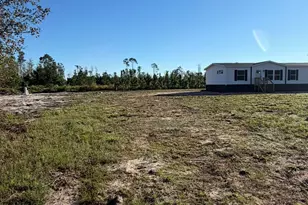 2096 Sellers Rd, Baxley, GA 31513 - Photo 41