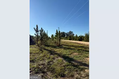 2096 Sellers Road, Baxley, GA 31513 - Photo 43