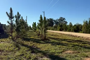 2096 Sellers Rd, Baxley, GA 31513 - Photo 43