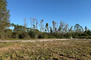 2096 Sellers Rd, Baxley, GA 31513 - Photo 45