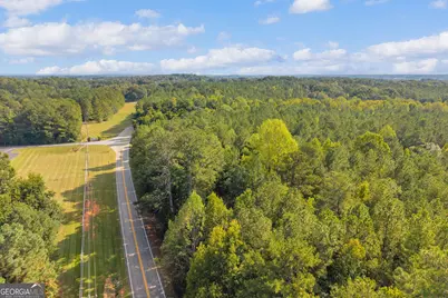 0 Highway 145, Eastanollee, GA 30538 - Photo 19