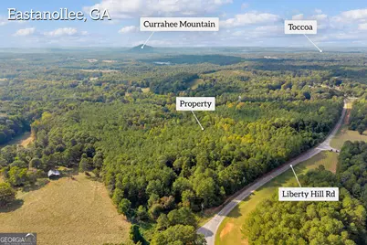 0 Highway 145, Eastanollee, GA 30538 - Photo 7