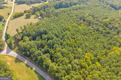 0 Highway 145, Eastanollee, GA 30538 - Photo 13