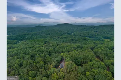 63 Laurel Trace, Blue Ridge, GA 30513 - Photo 5
