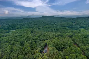 63 Laurel Trace, Blue Ridge, GA 30513 - Photo 5