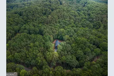 63 Laurel Trace, Blue Ridge, GA 30513 - Photo 109