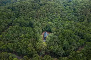 63 Laurel Trace, Blue Ridge, GA 30513 - Photo 109