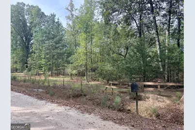 1050 Scott Branch Rd, Williamson, GA 30292 - Photo 45