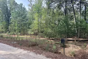 1050 Scott Branch Rd, Williamson, GA 30292 - Photo 45