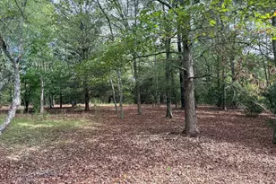 1050 Scott Branch Rd, Williamson, GA 30292 - Photo 47