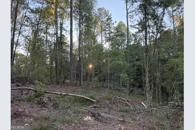 0 Adolphus Callaway Road, Rayle, GA 30660 - Photo 29
