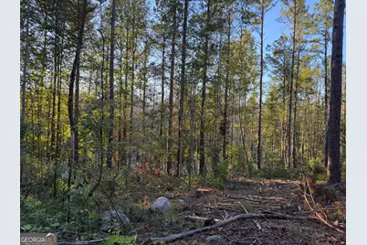 0 Adolphus Callaway Road, Rayle, GA 30660 - Photo 25