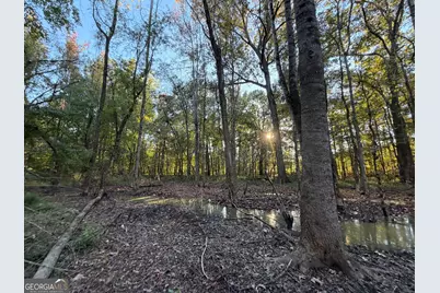 0 Adolphus Callaway Road, Rayle, GA 30660 - Photo 21