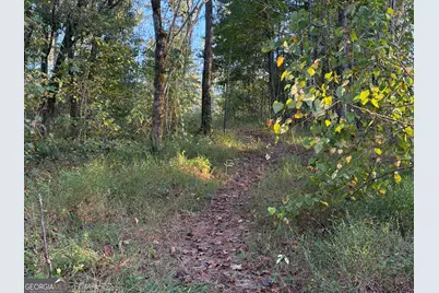 0 Adolphus Callaway Road, Rayle, GA 30660 - Photo 27