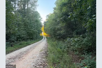0 Adolphus Callaway Road, Rayle, GA 30660 - Photo 31