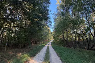 0 Adolphus Callaway Rd, Rayle, GA 30660 - Photo 1