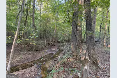 0 Adolphus Callaway Road, Rayle, GA 30660 - Photo 5