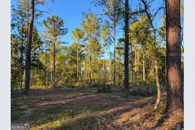 0 Adolphus Callaway Road, Rayle, GA 30660 - Photo 27