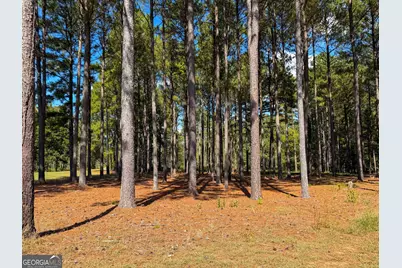 0 Adolphus Callaway Road, Rayle, GA 30660 - Photo 25