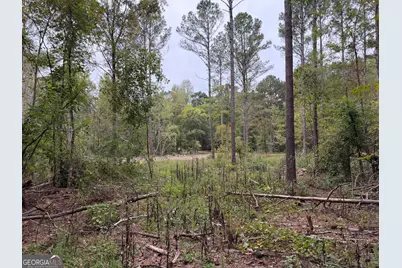 0 Adolphus Callaway Road, Rayle, GA 30660 - Photo 5