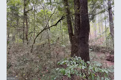 0 Adolphus Callaway Road, Rayle, GA 30660 - Photo 11