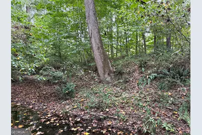 0 Adolphus Callaway Road, Rayle, GA 30660 - Photo 21