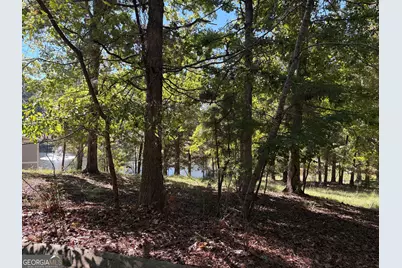 1040 Mashie Drive, Greensboro, GA 30642 - Photo 9