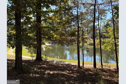 1040 Mashie Drive, Greensboro, GA 30642 - Photo 17