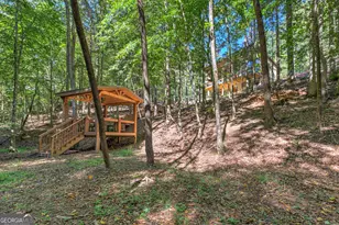 1918 Big Creek Rd, Cherry Log, GA 30522 - Photo 63