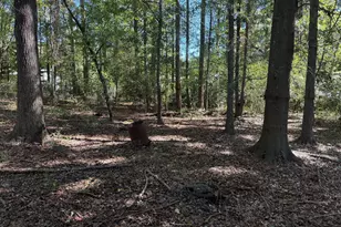 110 Southern Ct, McDonough, GA 30252 - Photo 19