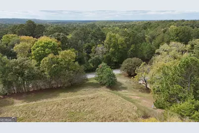 0 Bobby Brown St Pk Road, Dewy Rose, GA 30635 - Photo 23
