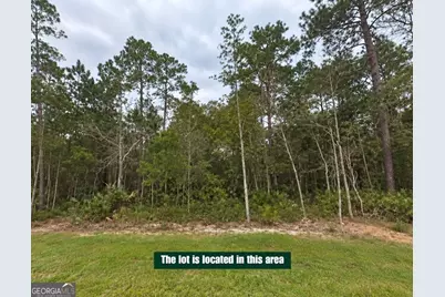 0 Timmons Drive, Waverly, GA 31565 - Photo 3