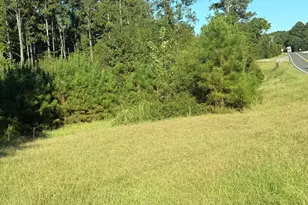 3246 Washington Hwy, Lincolnton, GA 30817 - Photo 37