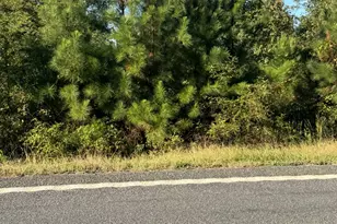 3246 Washington Hwy, Lincolnton, GA 30817 - Photo 39
