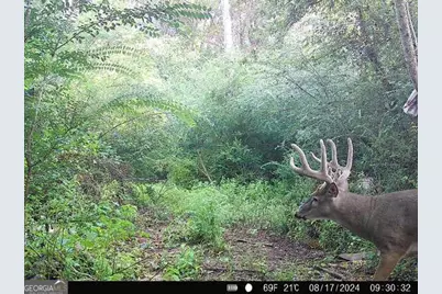 0 Seven Islands Road, Madison, GA 30650 - Photo 5