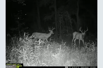 0 Seven Islands Road, Madison, GA 30650 - Photo 15