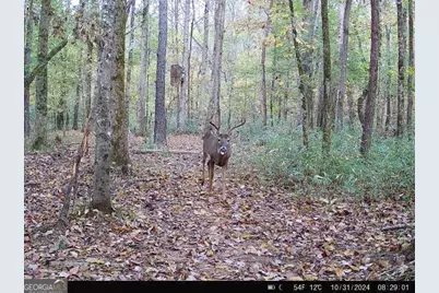0 Seven Islands Road, Madison, GA 30650 - Photo 29